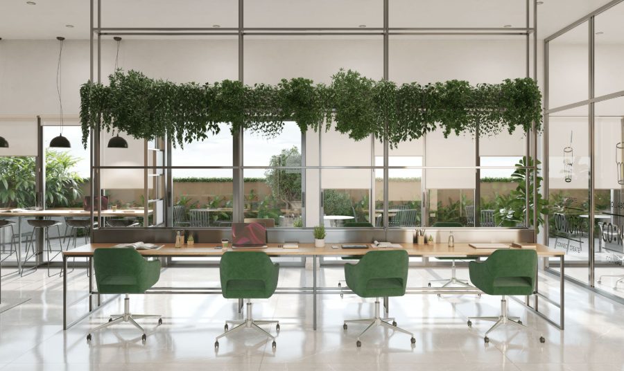 aminities1